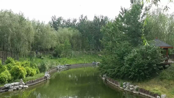 大慶連環湖度假村-渠務